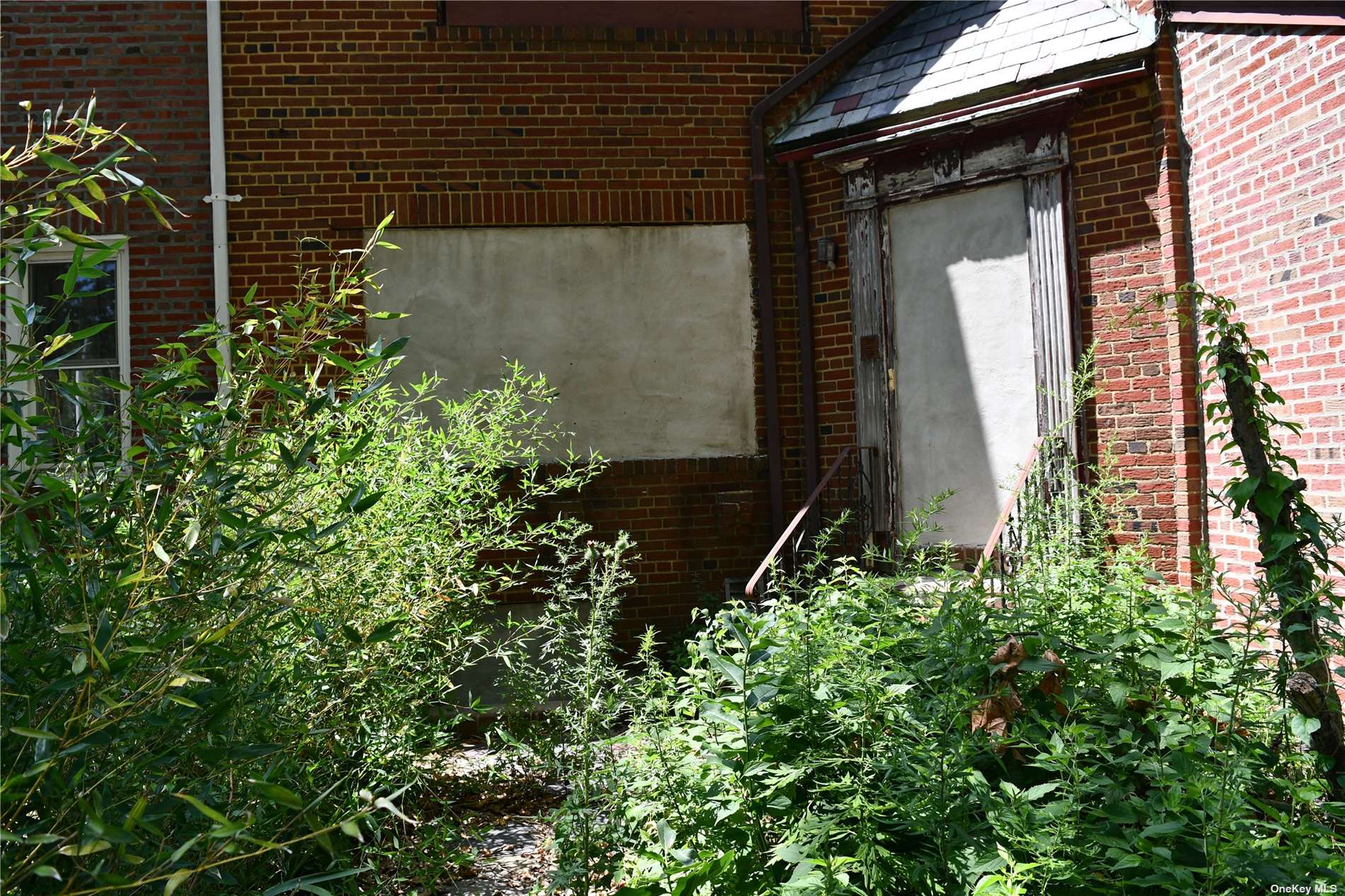 a view of a small garden