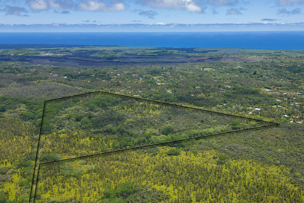 Great opportunity to purchase a beautiful 104 acre parcel of native Hawaiian forest along with other tropical trees and plants.