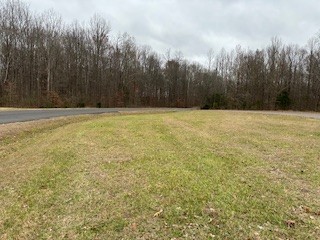 a view of empty field with trees