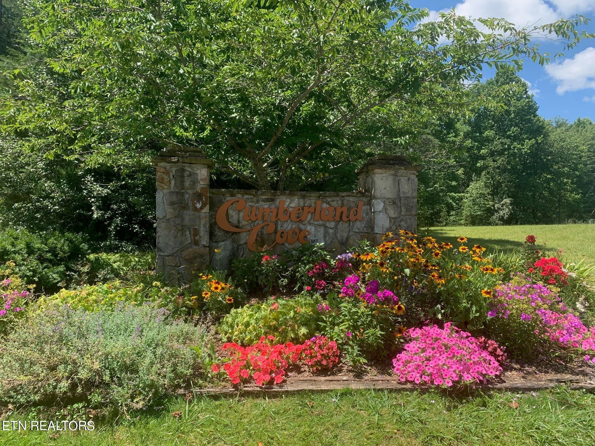 a view of a garden with flowers and trees