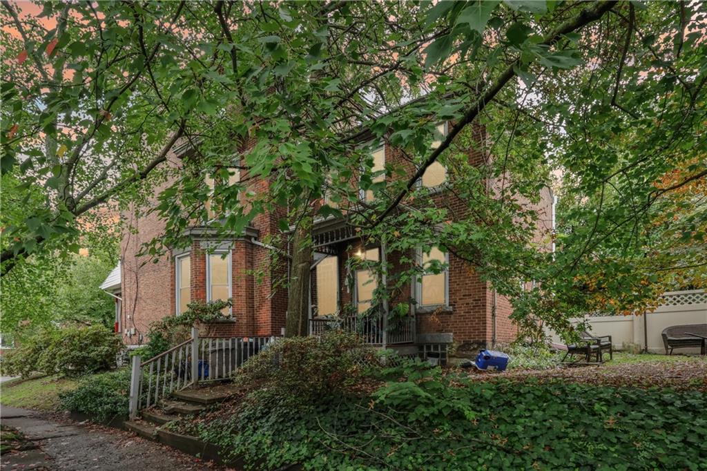 a backyard of a house with plants and large tree