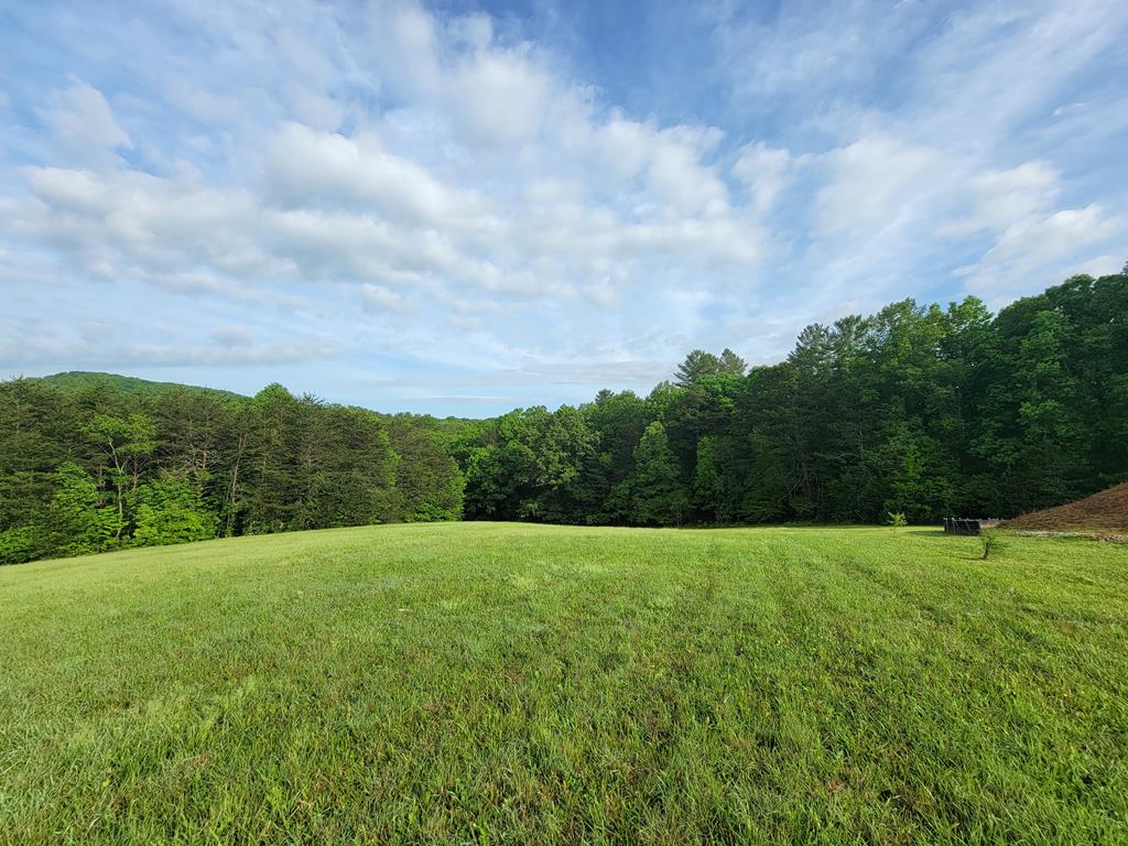 a view of grassy field with trees in background