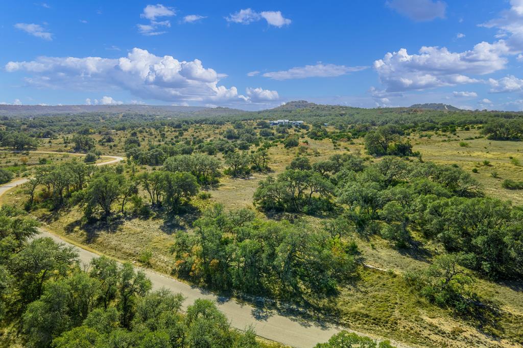 a view of a city with lush green forest