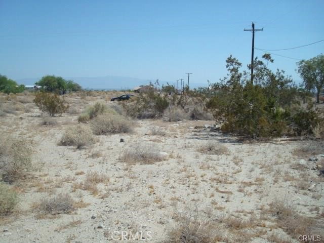 a view of a dry yard with trees