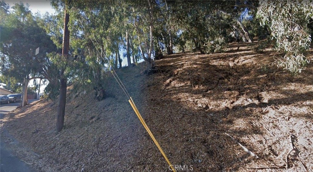 a view of a forest with trees