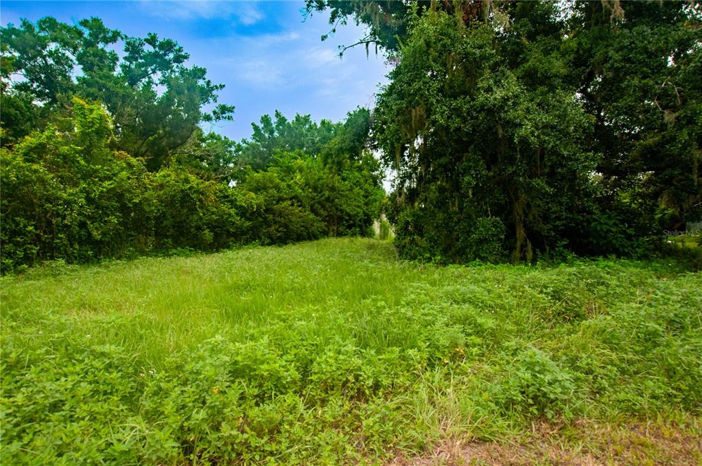 a view of yard with green space