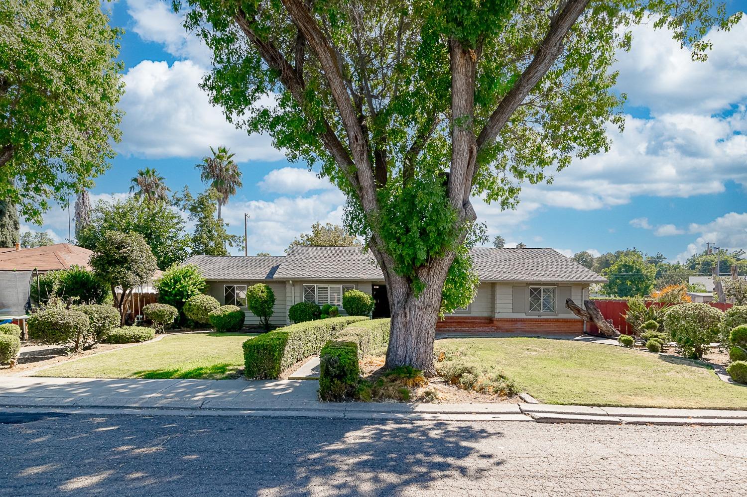 a front view of a house with a yard and large tree