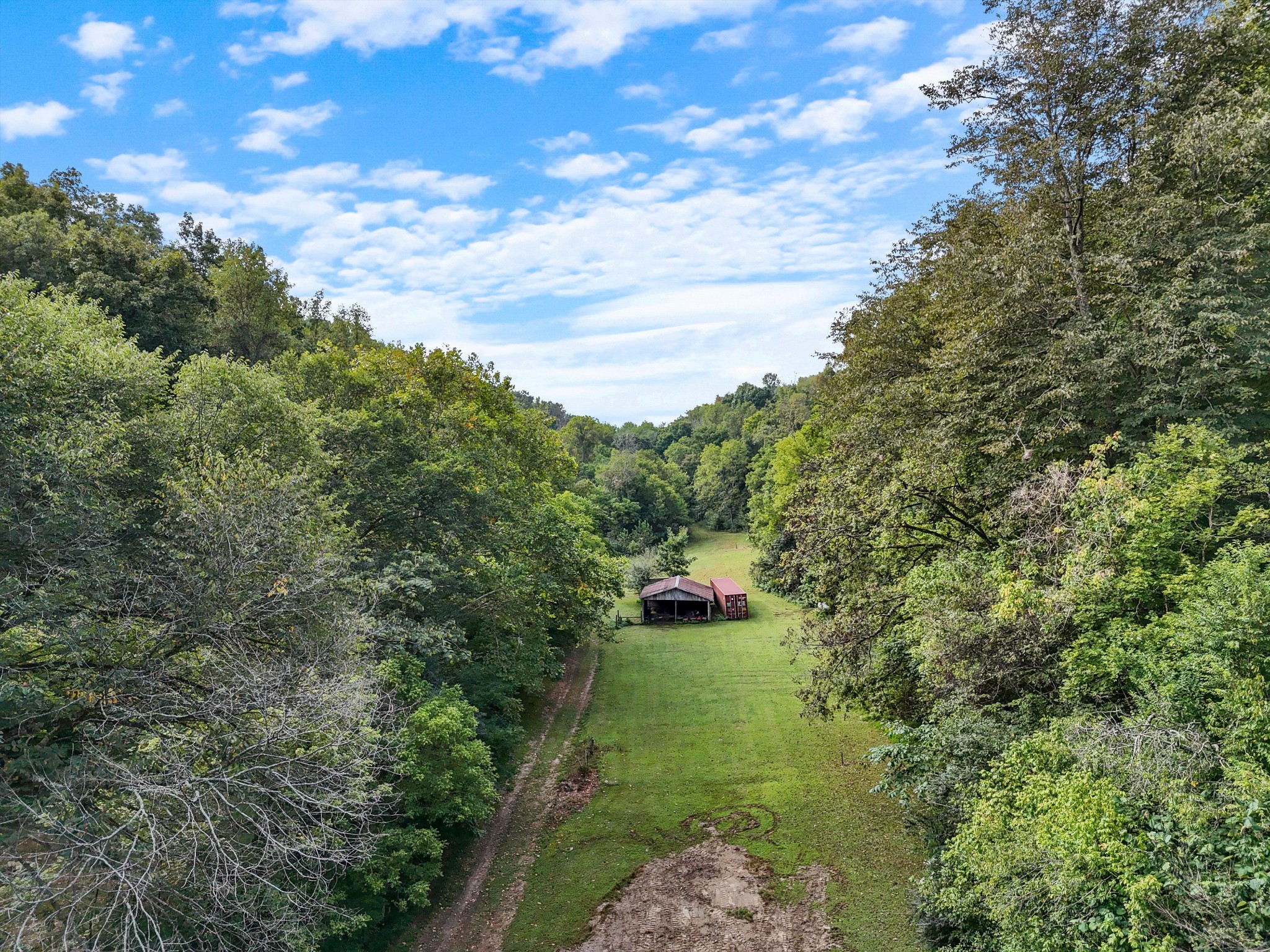 a green field with lots of trees in it