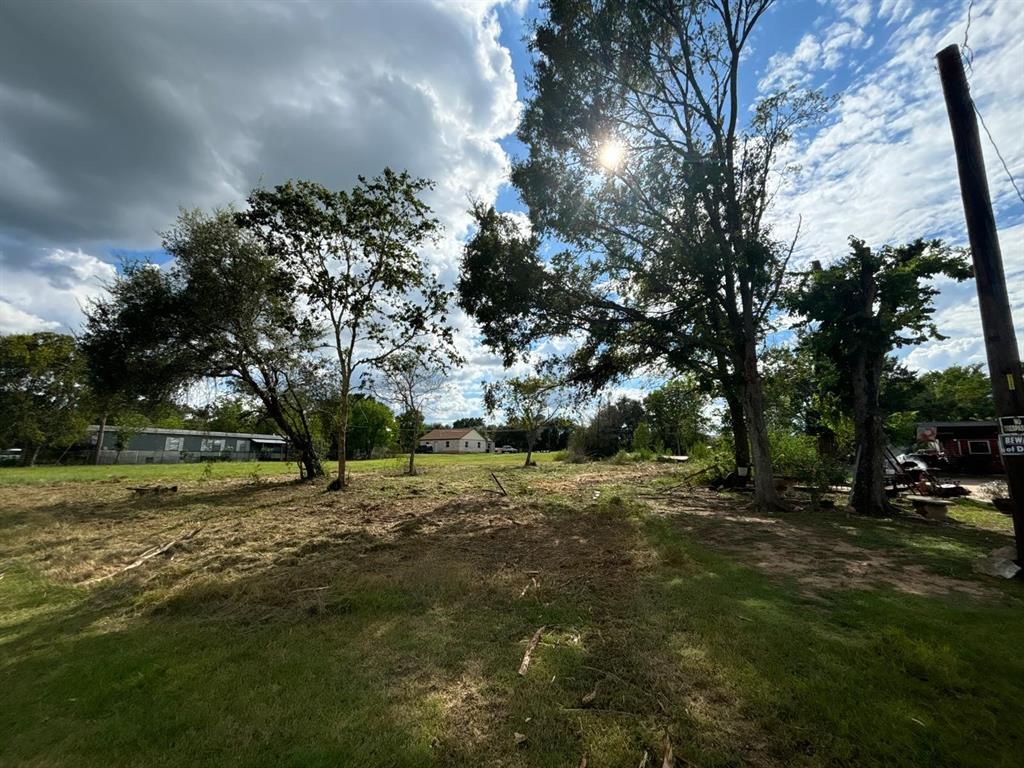 a view of a field with trees