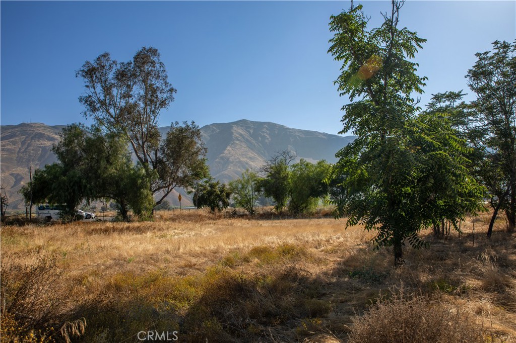 a view of a yard with a tree