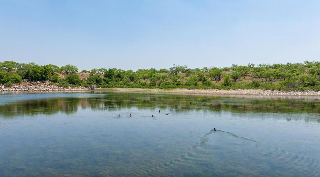 a view of a lake with a city from a lake