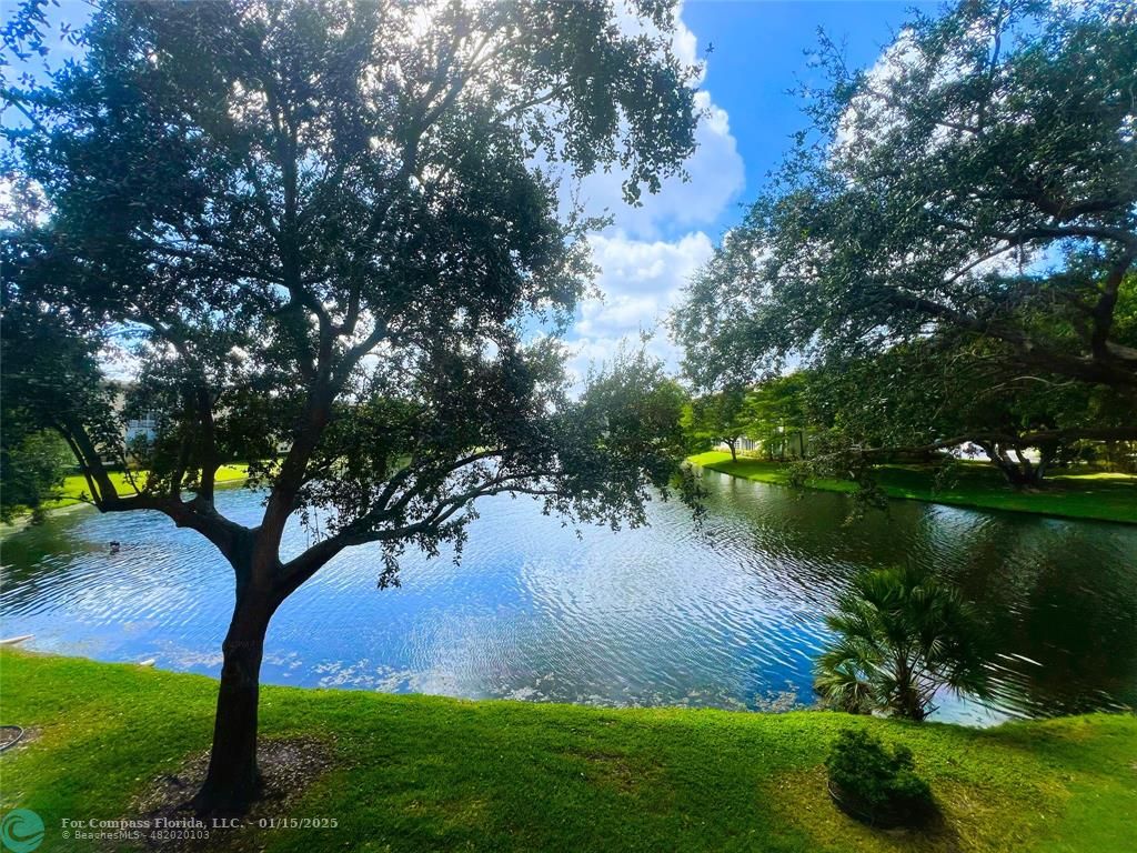 a lake view with a garden