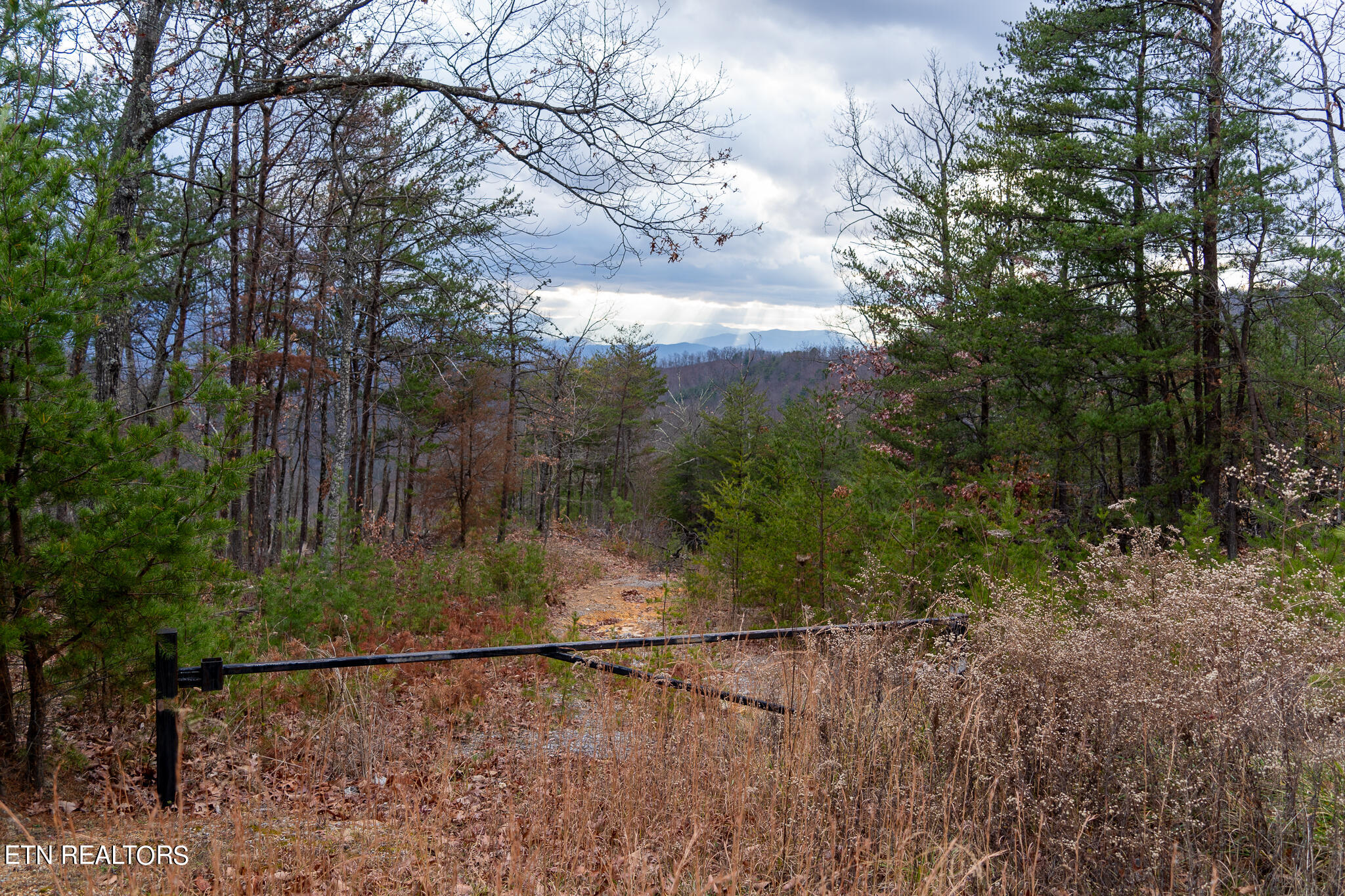 Lot 62 Leconte Dr -3