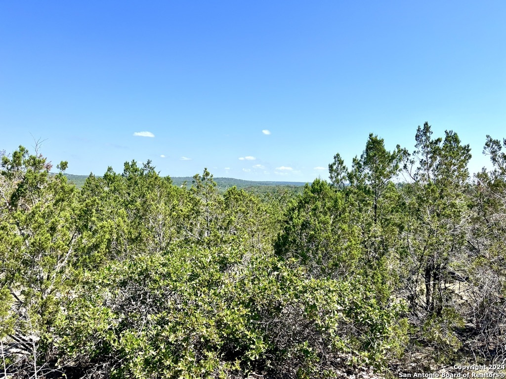 a view of a large yard with lots of bushes