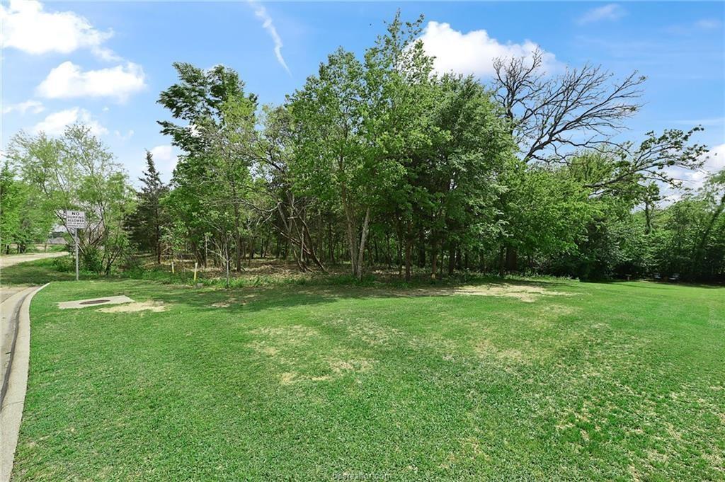 a view of a grassy field