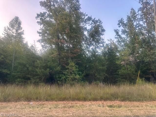 $25,000 | Lot 1 Frank Joyce Road | Snow Creek Township - Stokes County