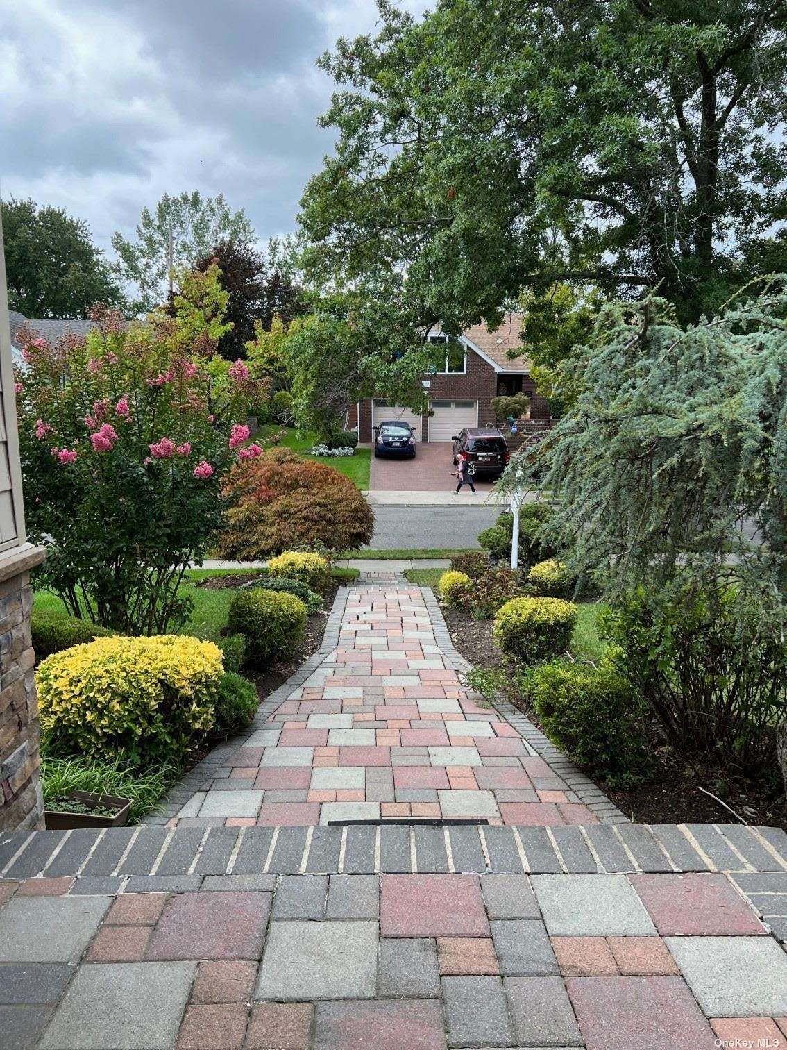 a view of a pathway with flower plants