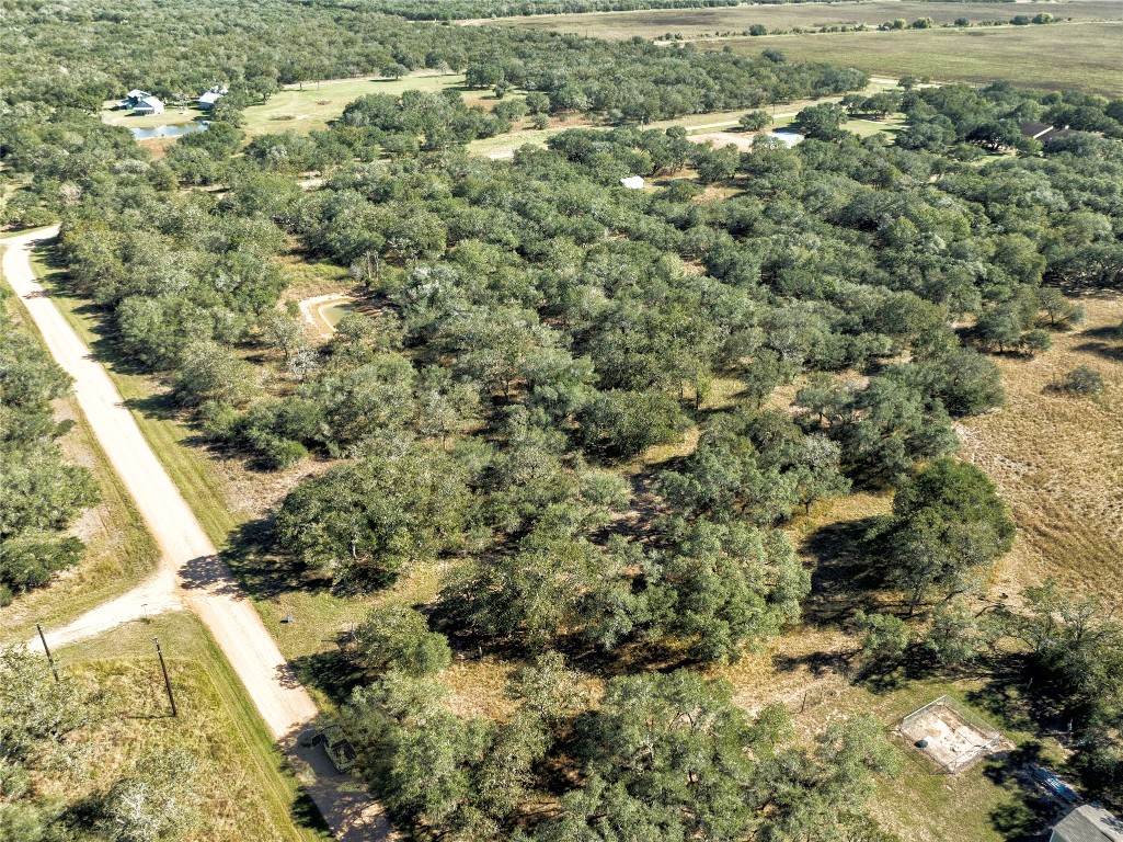 a view of a big yard with lots of bushes