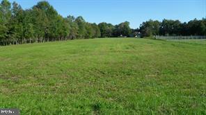 a view of field with trees in the background