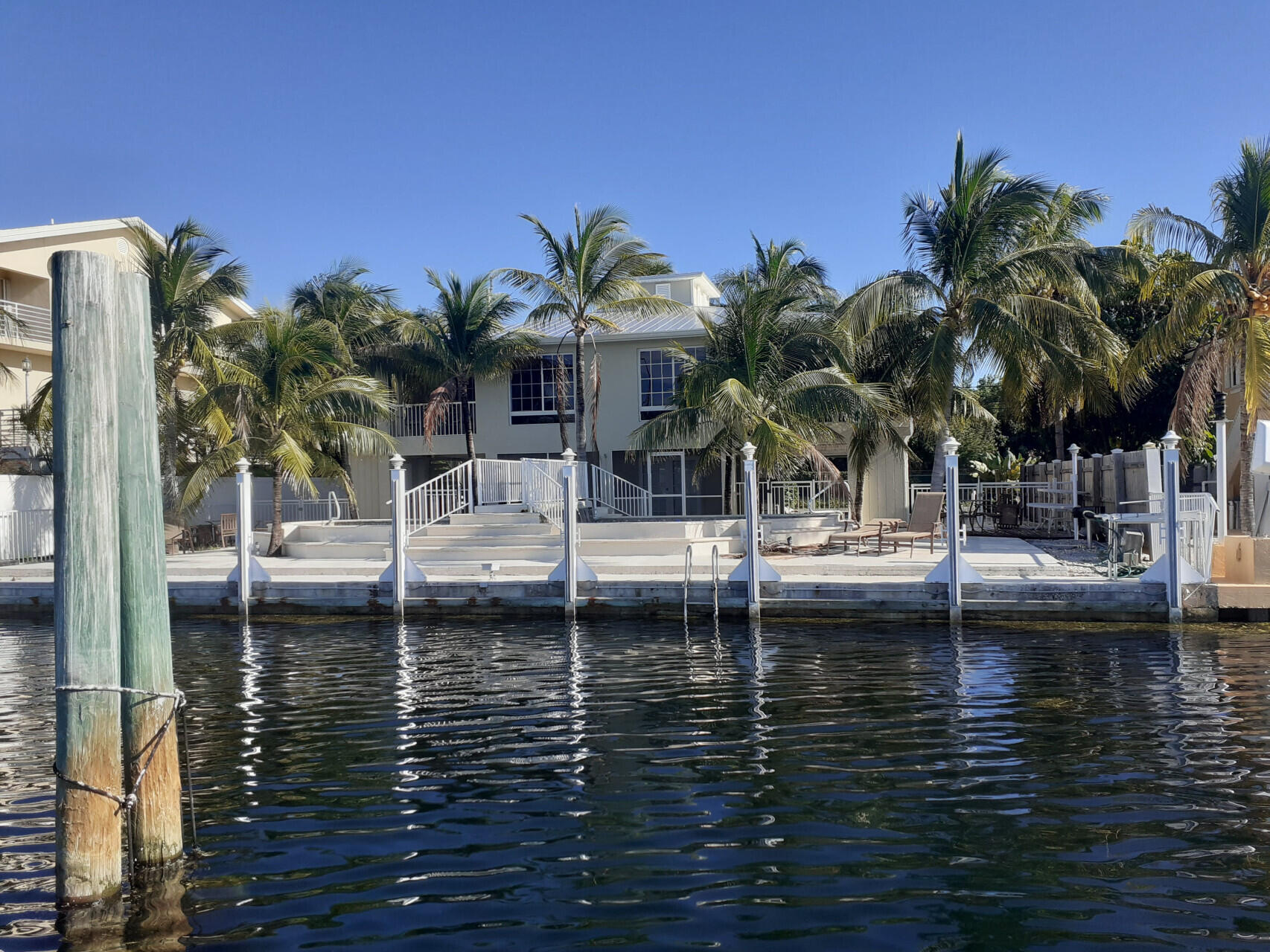 a view of a lake with palm trees