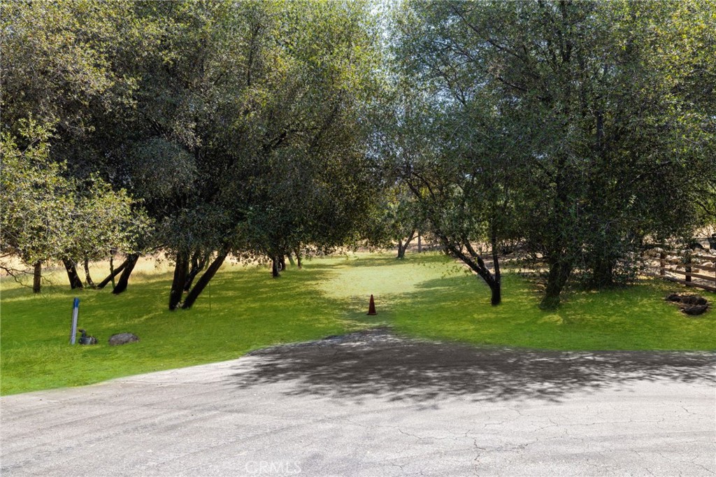 a view of a park with large trees