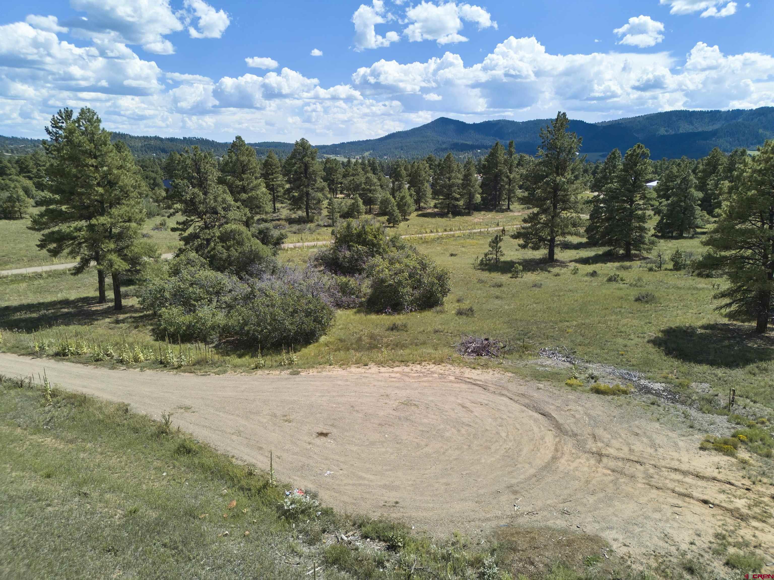 a view of a yard with mountain view