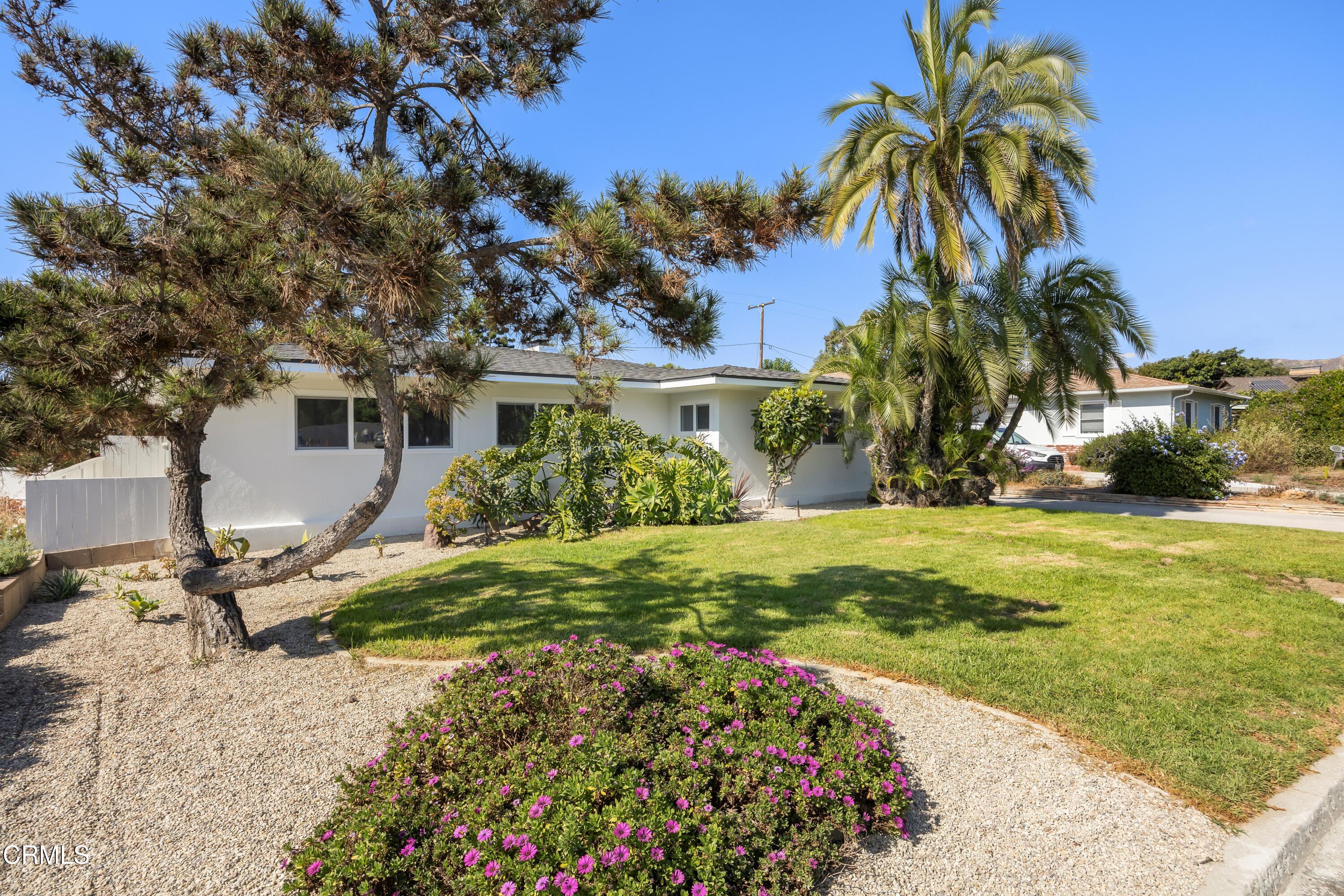 a view of a house with a yard and tree s