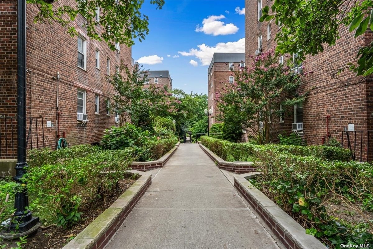 a view of a garden with pathway