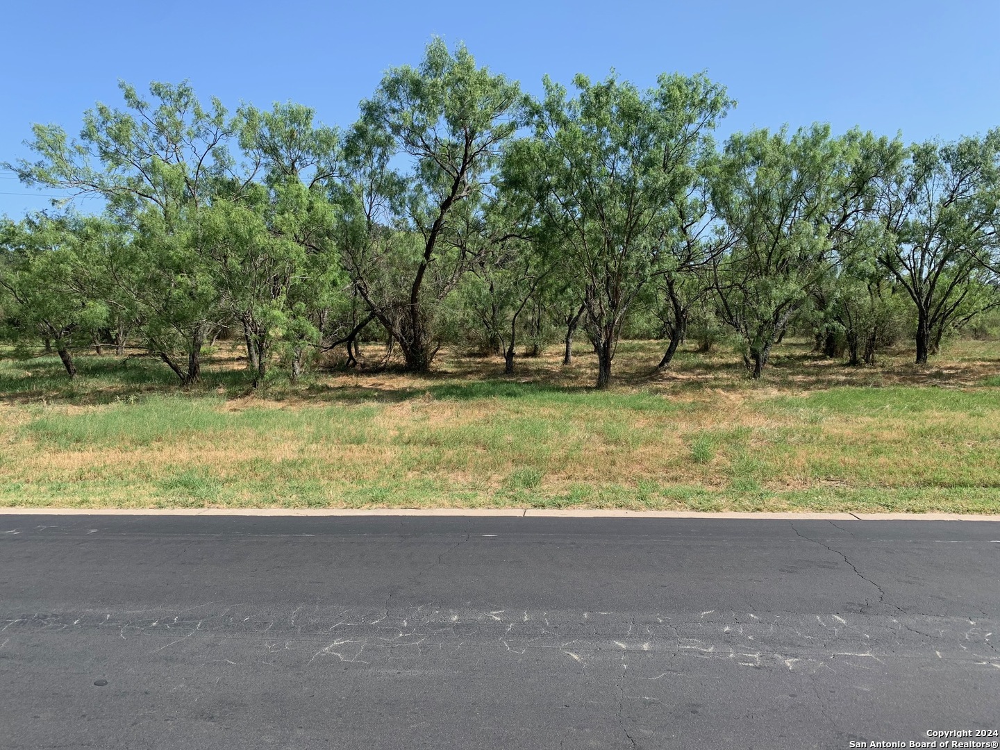 a view of a yard with a tree