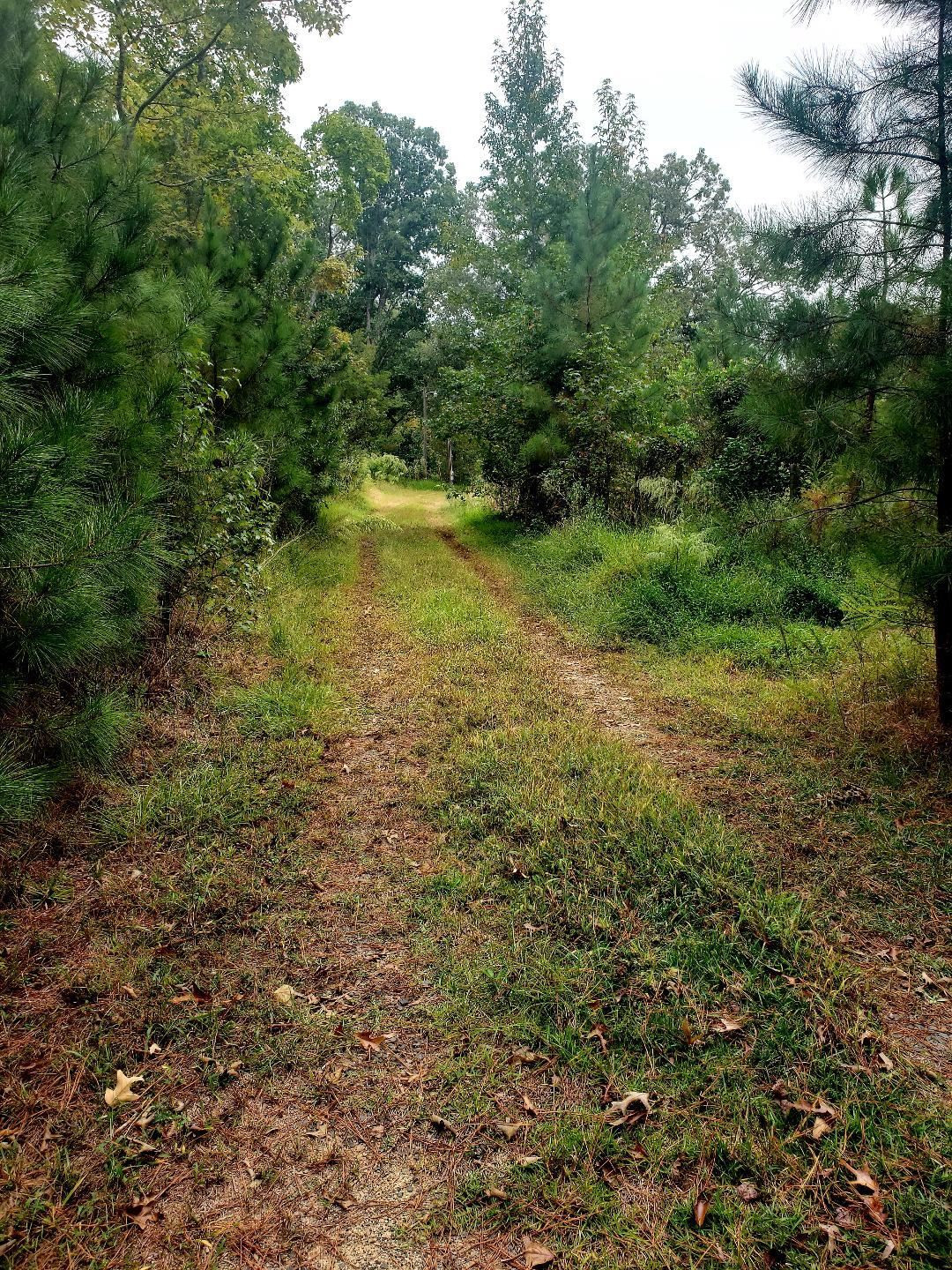 a view of outdoor space and trees