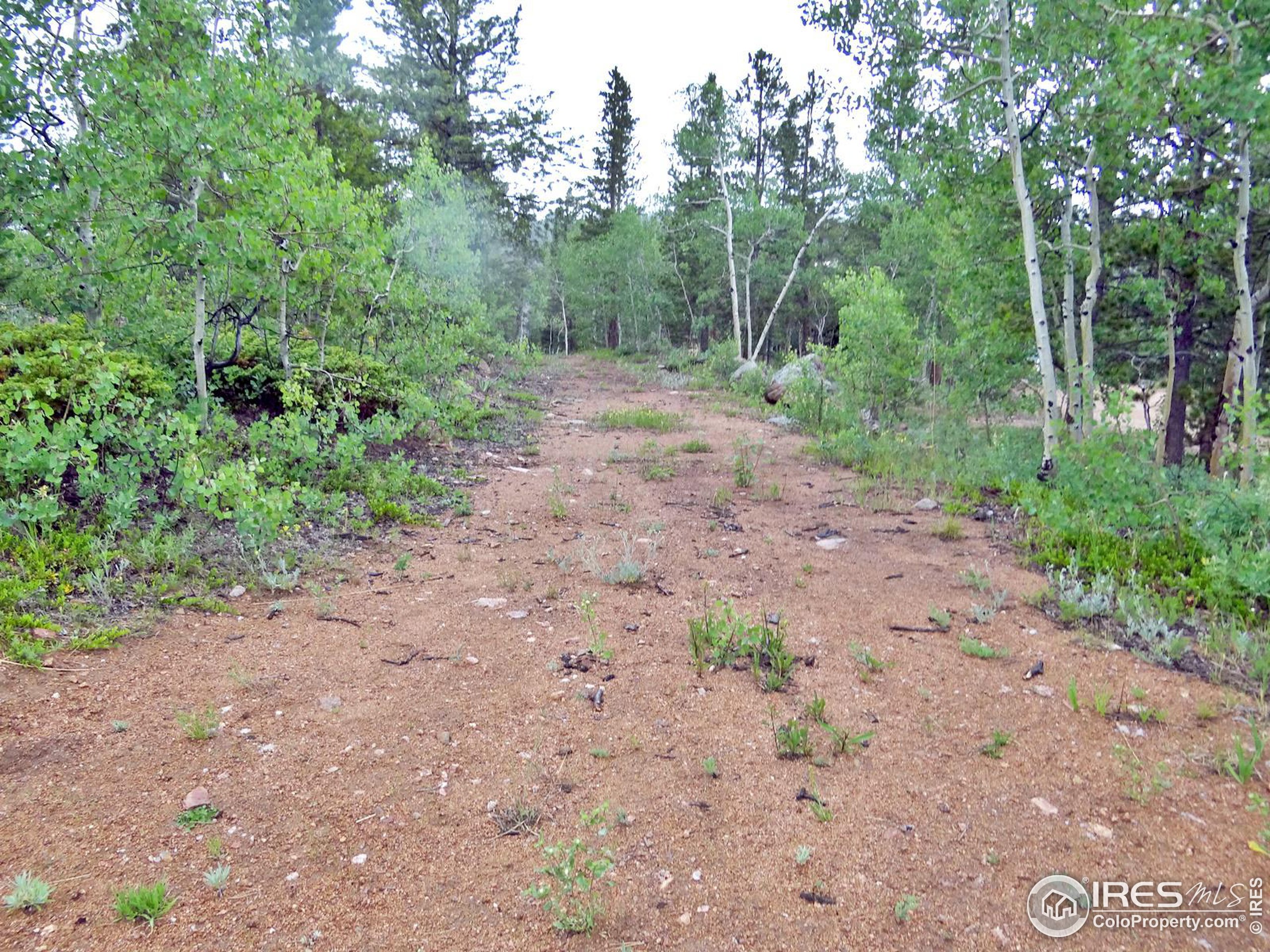 a view of a dirt road with trees in the background