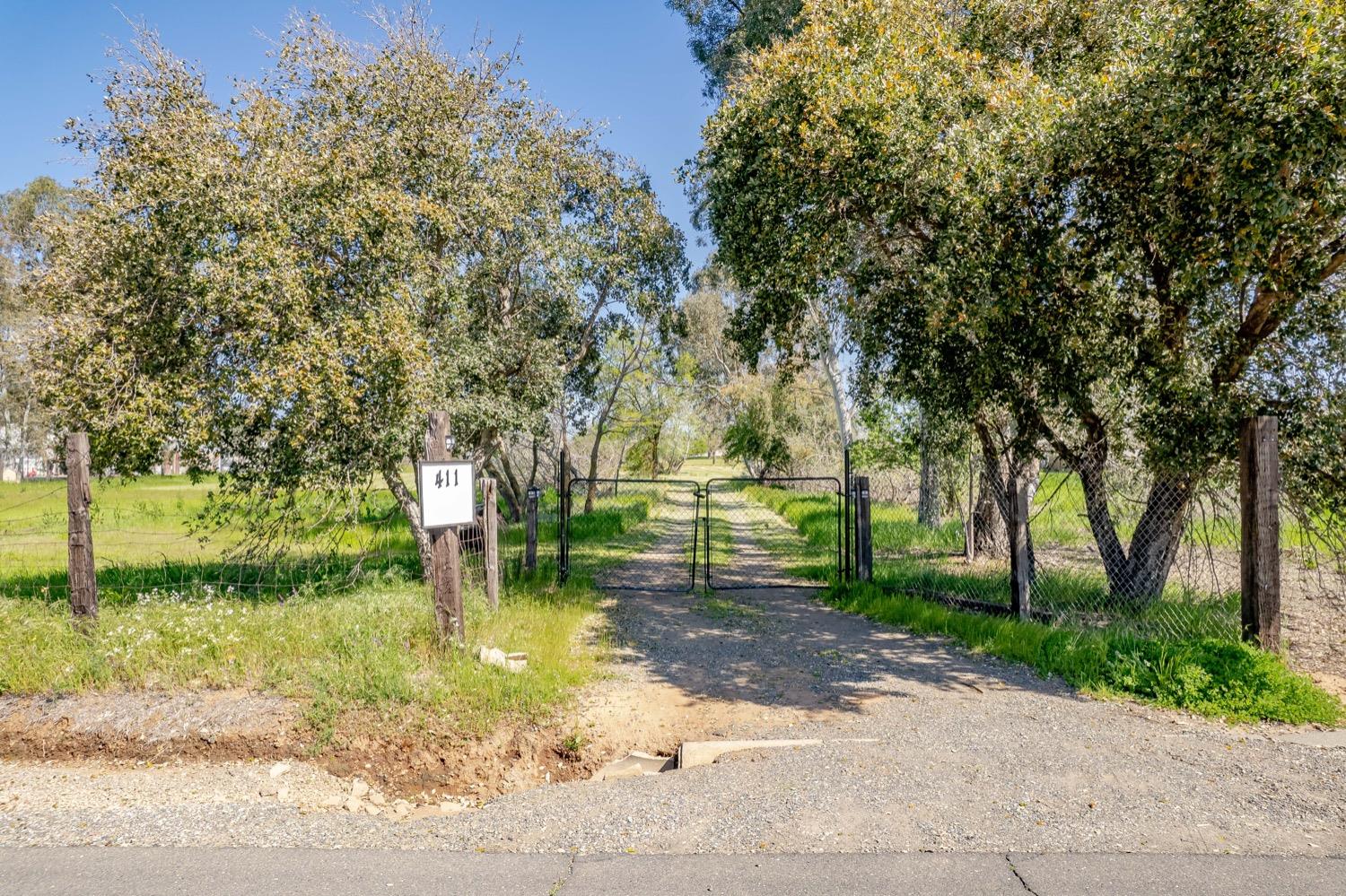 a view of a park with large trees