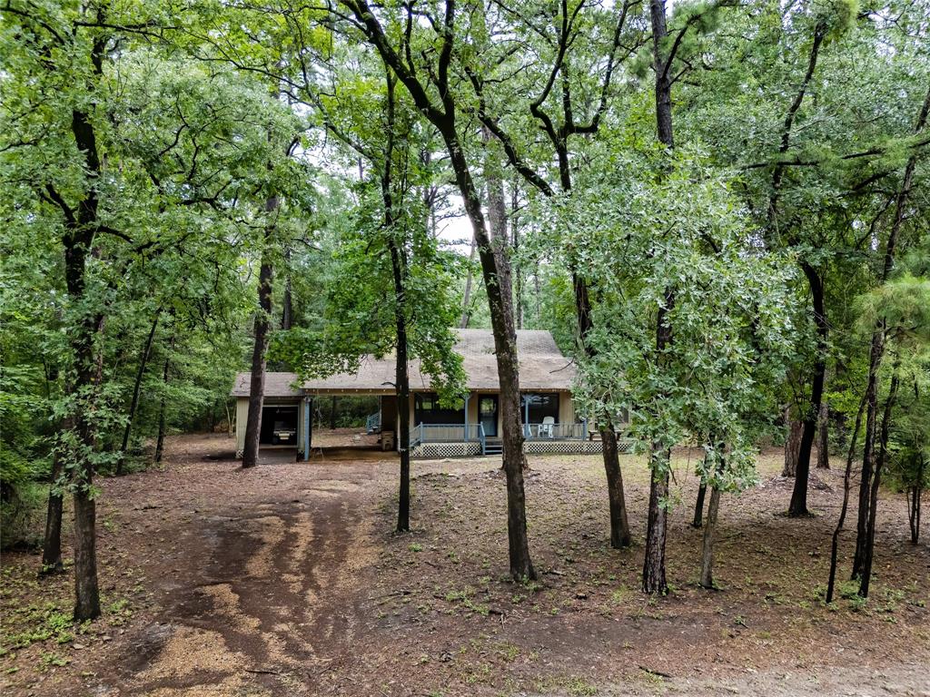 a view of park with trees