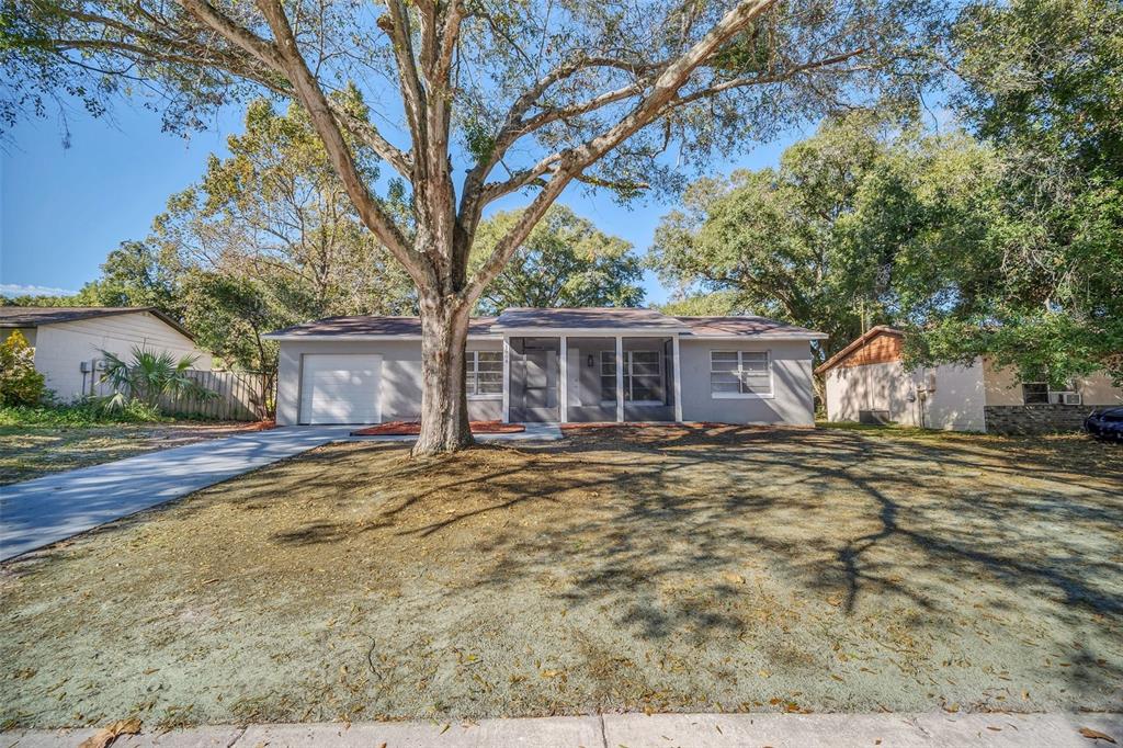 a view of a house with a yard and large tree