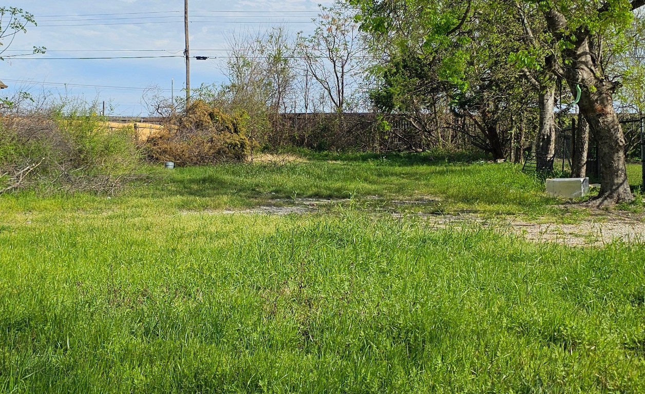 a view of a garden