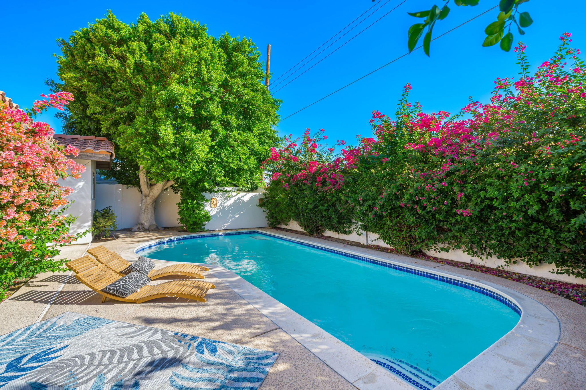 a view of a backyard with plants