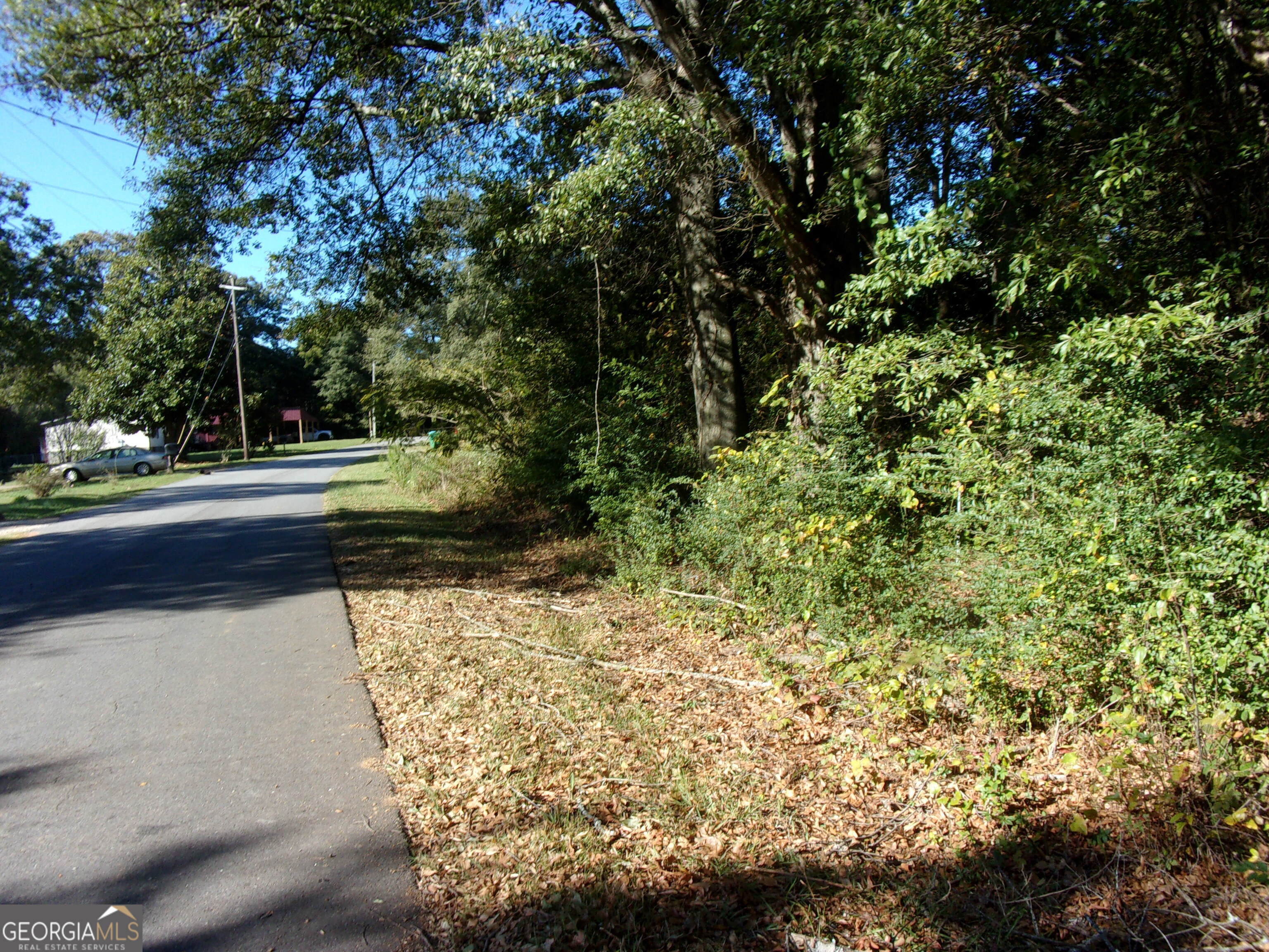 a view of a yard with plants and trees