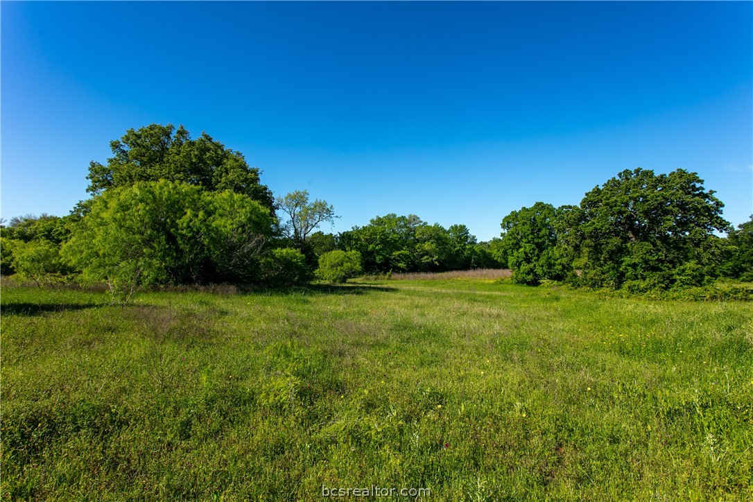 a view of field with trees in the background