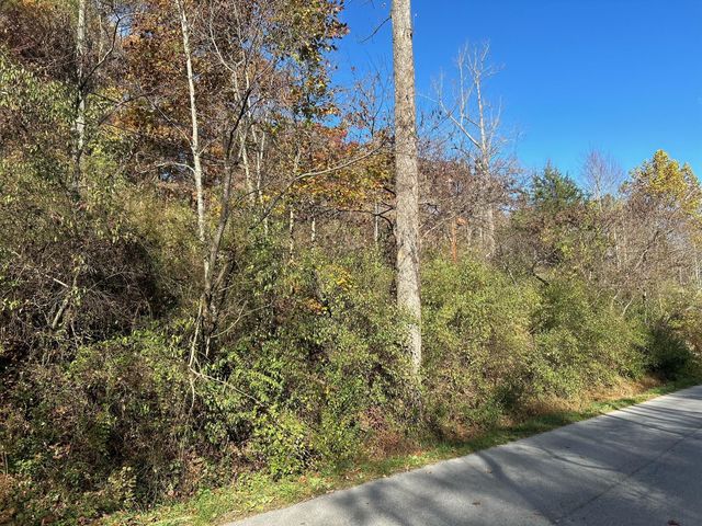 $21,500 | 0 Back Creek Road