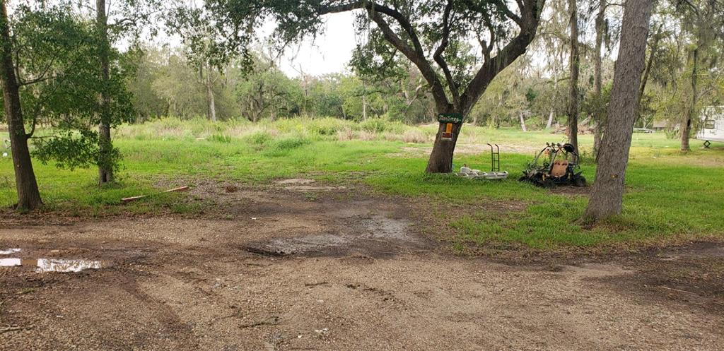 a view of a yard with trees