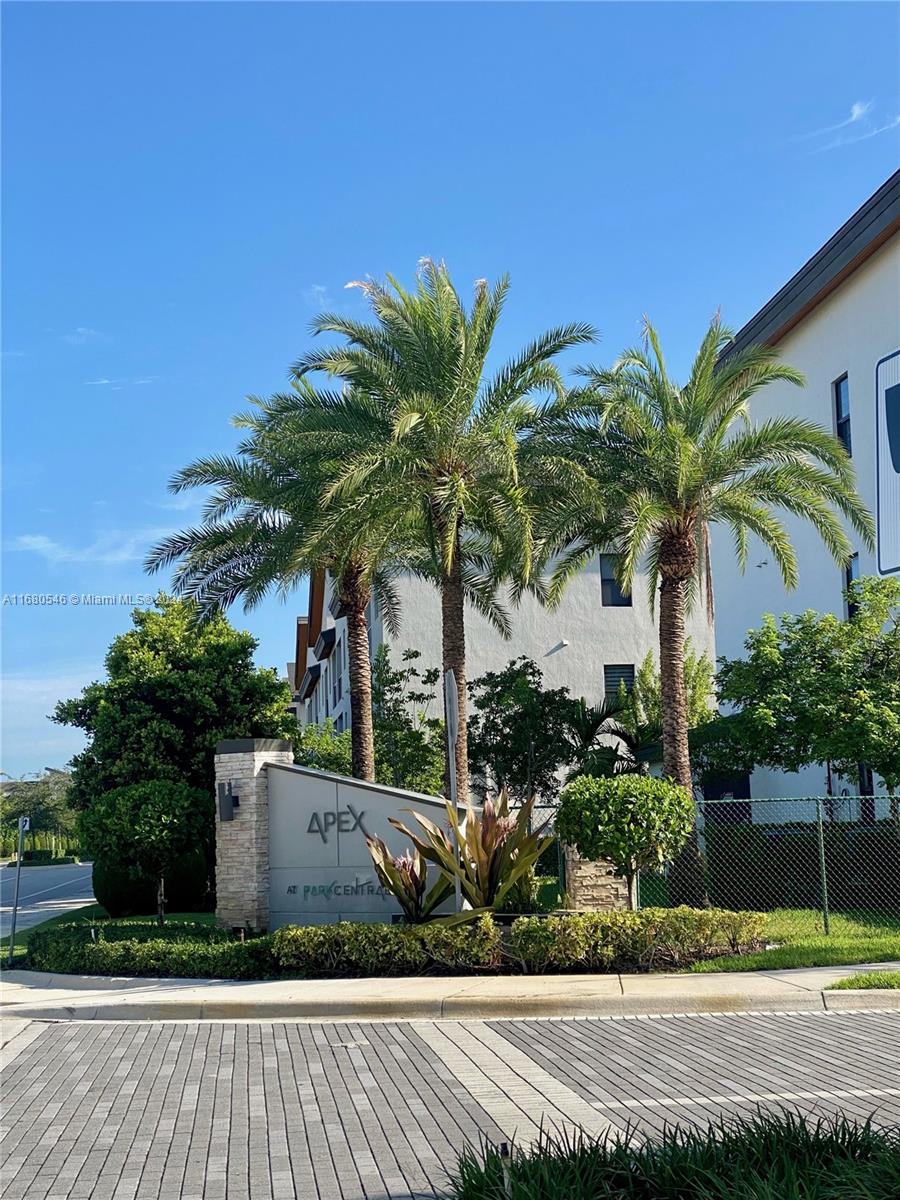 a palm tree sitting in front of a house with a yard