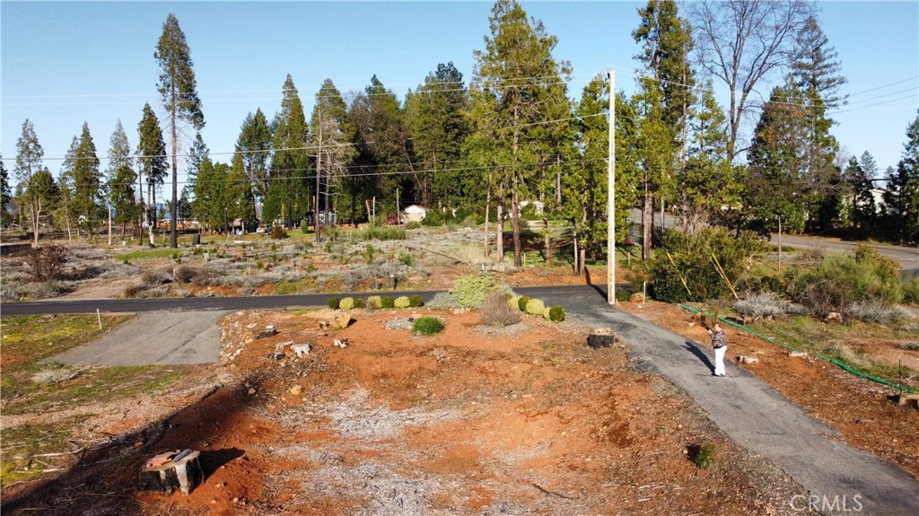 a view of a yard with trees in the background