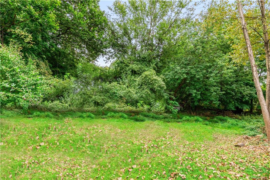 a view of yard with green space