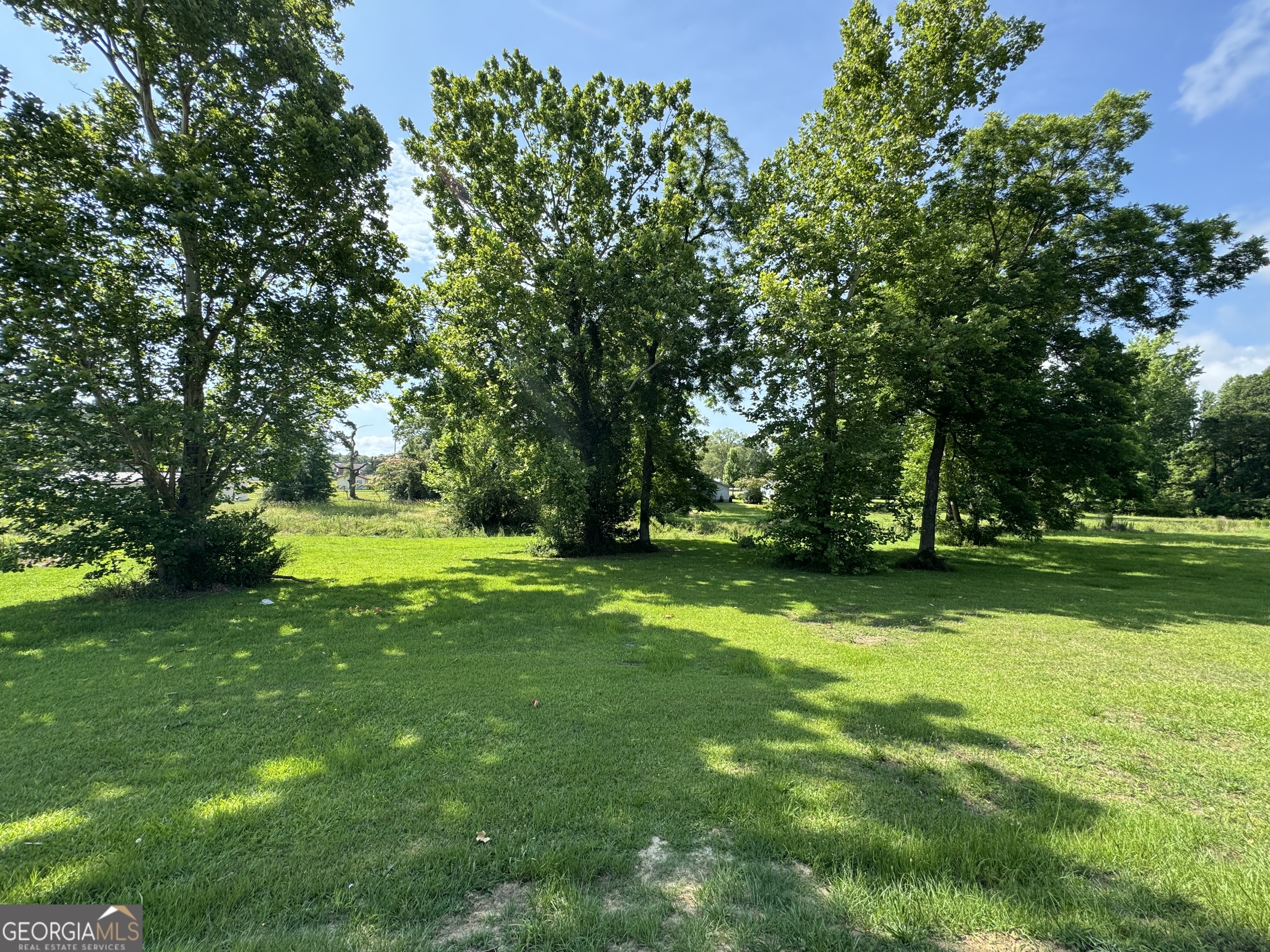 a view of a park with trees in the background