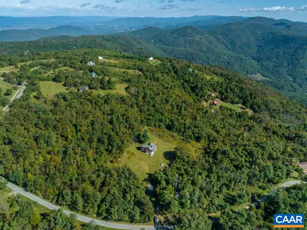 a view of a lush green forest with trees and some houses