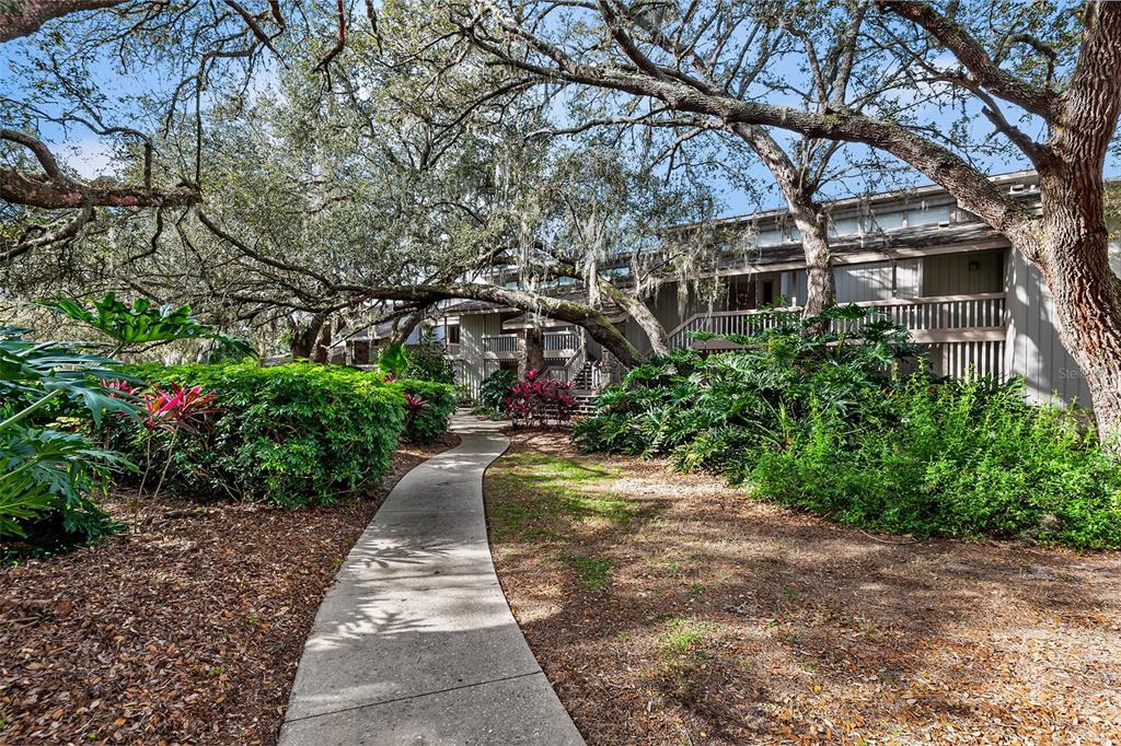 a view of a pathway with a yard