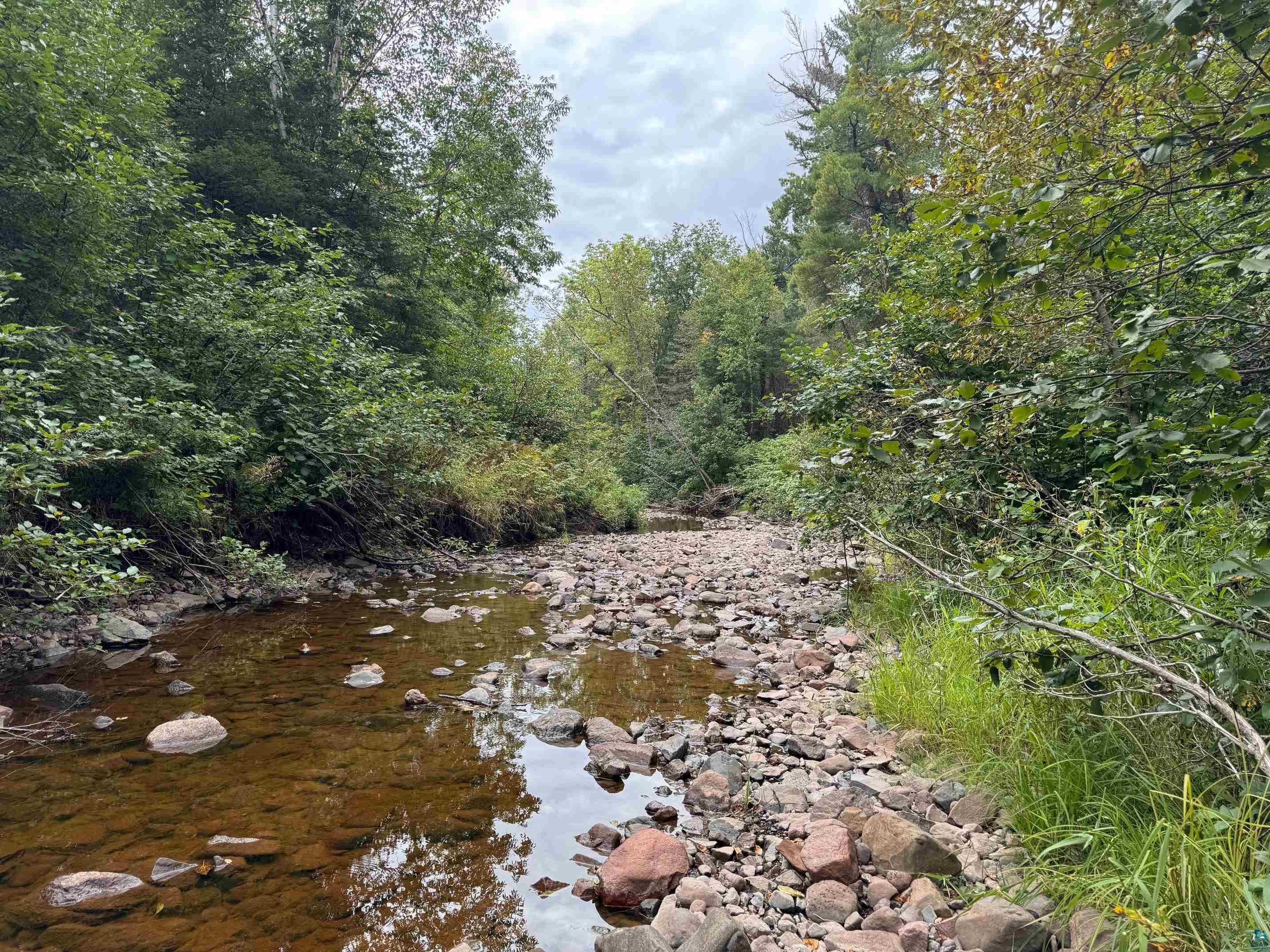 View of local wilderness