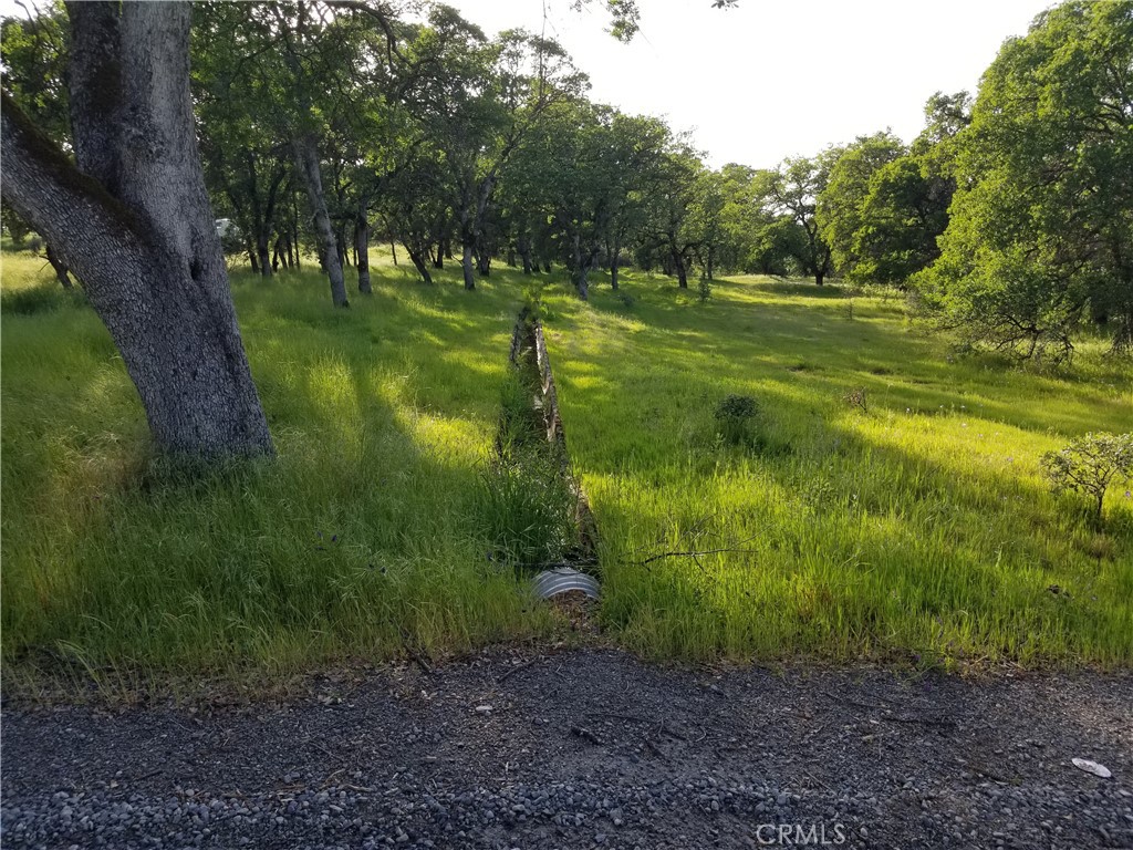 South Feather Water Ag Ditch. Buyer needs to apply for service.