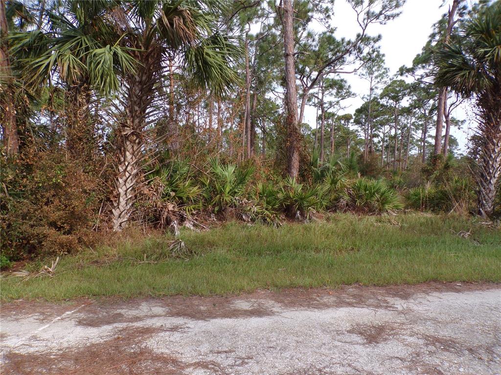 a view of a yard with a tree