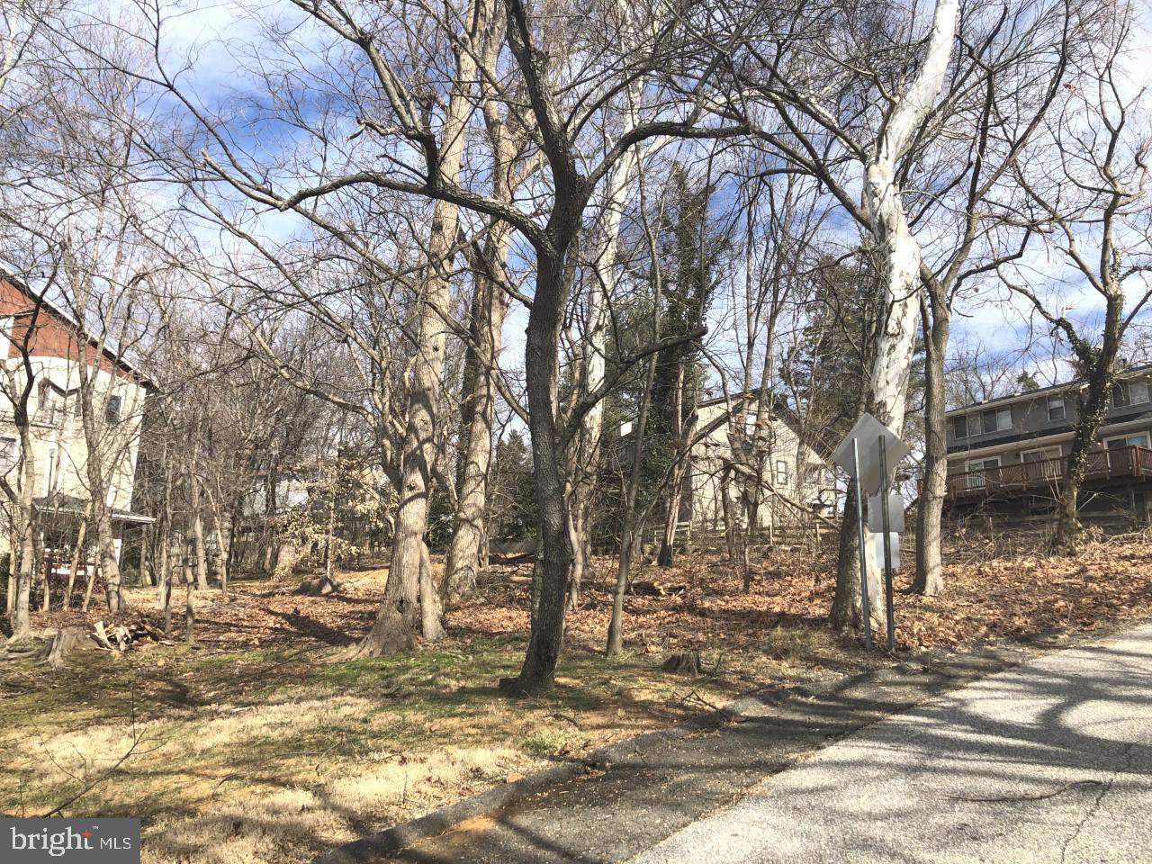 a view of a yard with trees